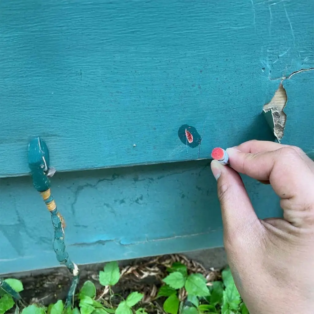 Lead Paint Removal & Safety for Portland Homes